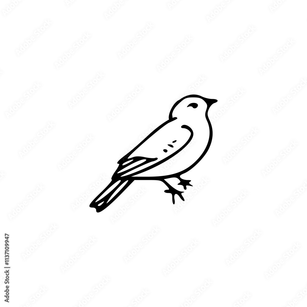 Fototapeta premium a line art drawing of a bird