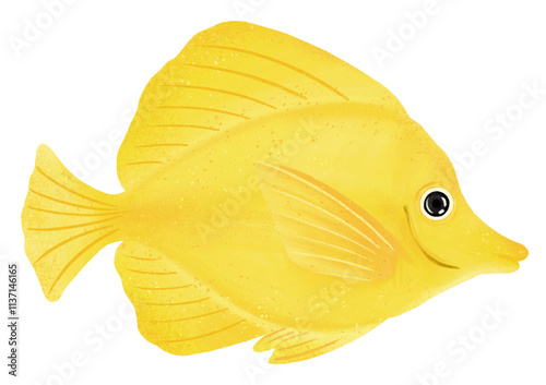 Yellow tang fish png sticker, animal illustration, transparent background photo