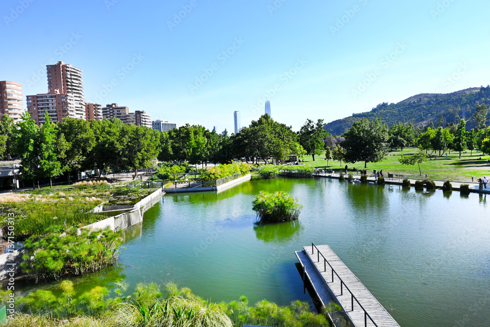 Fototapeta premium PARQUE BICENTENARIO VITACURA CHILE ARBLOES LAGUNAS AVES PECES