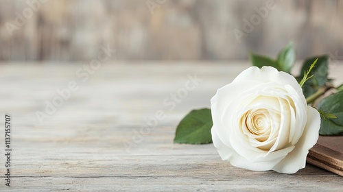 Valentine rose idea. Beautiful white rose resting on a rustic wooden table for a serene atmosphere.