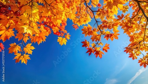 Tree branch with vibrant autumn leaves against a clear blue sky, autumn, leaves, tree, branch, blue sky, nature, seasonal