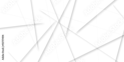 Abstract background with liens and triangles shape on white background. White and grey geometric overlapping rectangle pattern Geometric background soft shadows as patten ..White polygon textured .