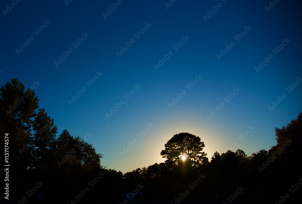 sunset in the woods sunset in the woods