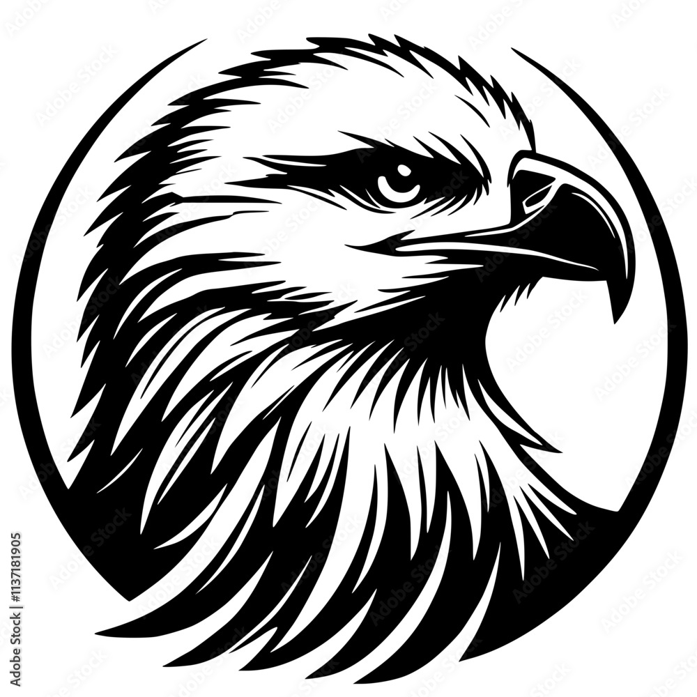 Fototapeta premium Eagle portrait silhouette