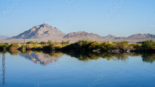 Amazing views of the Henderson bird viewing preserve with scenery of water, trees, ducks, mountain, nature, branches