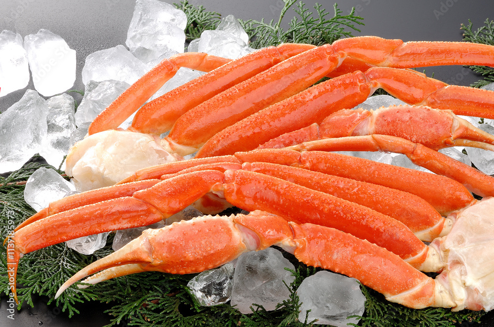 ズワイカニ肩付き脚