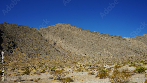 Mountain views from Cliff Shadows open desert park in Las Vegas 
