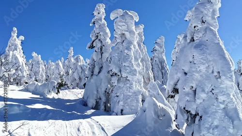 Forest of ice monsters viewed from a chairlift (Zao, Yamagata, Japan)