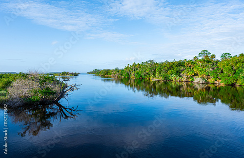 Florida Estuary Scenery