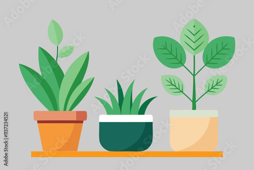 decorative planters vector art for home and garden designs
