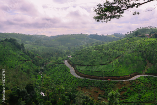 Scenic view over Eravikulam National Par tea plantations in Kerala,  sunny day view from the mountain