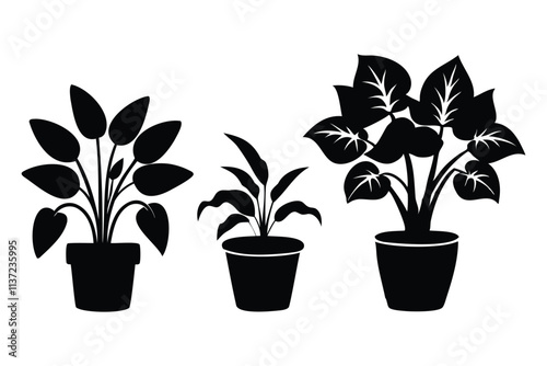 stylish planters silhouette art for gardening and home decor
