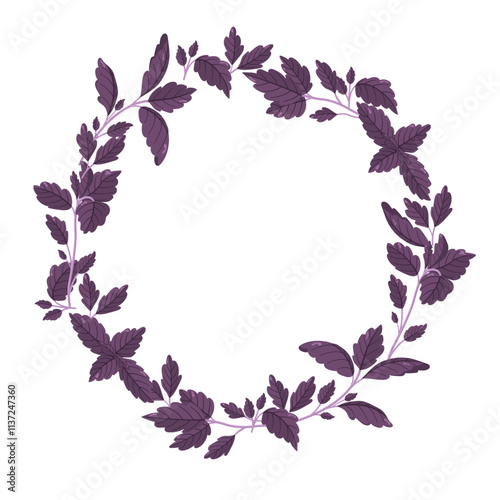 Vector basil wreath. Fresh garden greenery image. Vitamin set. Natural spices.