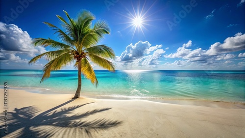 A Single Palm Tree Casts a Long Shadow on a Pristine White Sand Beach, With Sparkling Turquoise Waters and a Bright Blue Sky