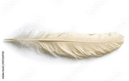 Single Soft White Bird Feather on White Background photo