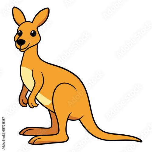 kangaroo with baby photo