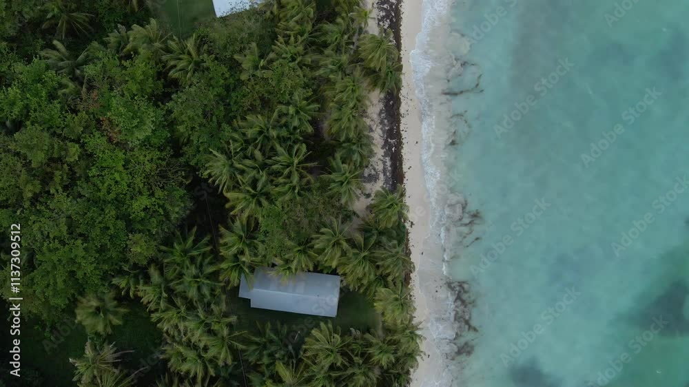 House in tropical jungle on the beach, aerial top down view, exotic holiday House in tropical jungle on the beach, aerial top down view, exotic holiday