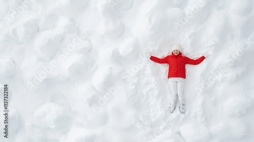 Winter Wonderland: A lone f...