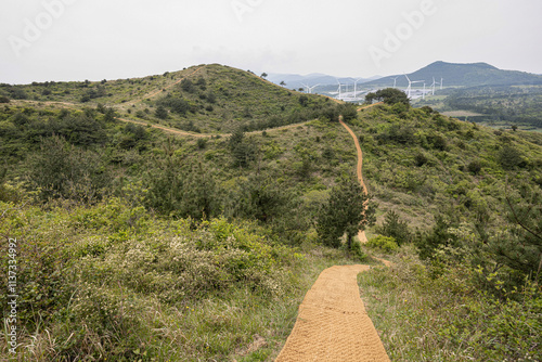 산 정상에서 바라보는 풍경 제주 서귀포시 표선면 가시리 따라비오름