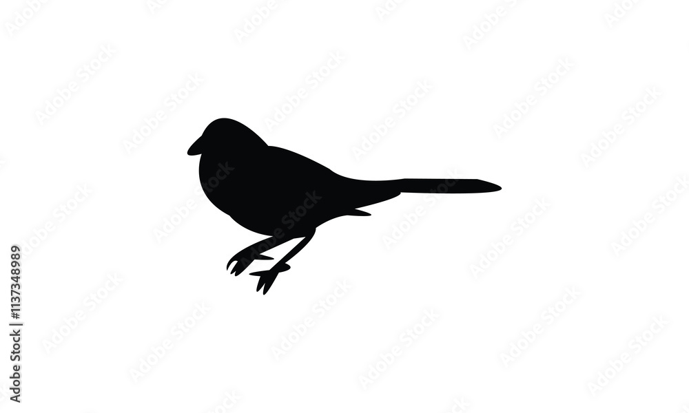 Fototapeta premium Towhee Bird Silhouette Design And Vector Illustration. 