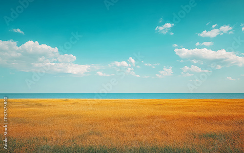 Golden grassland meets vibrant blue water under a clear sky