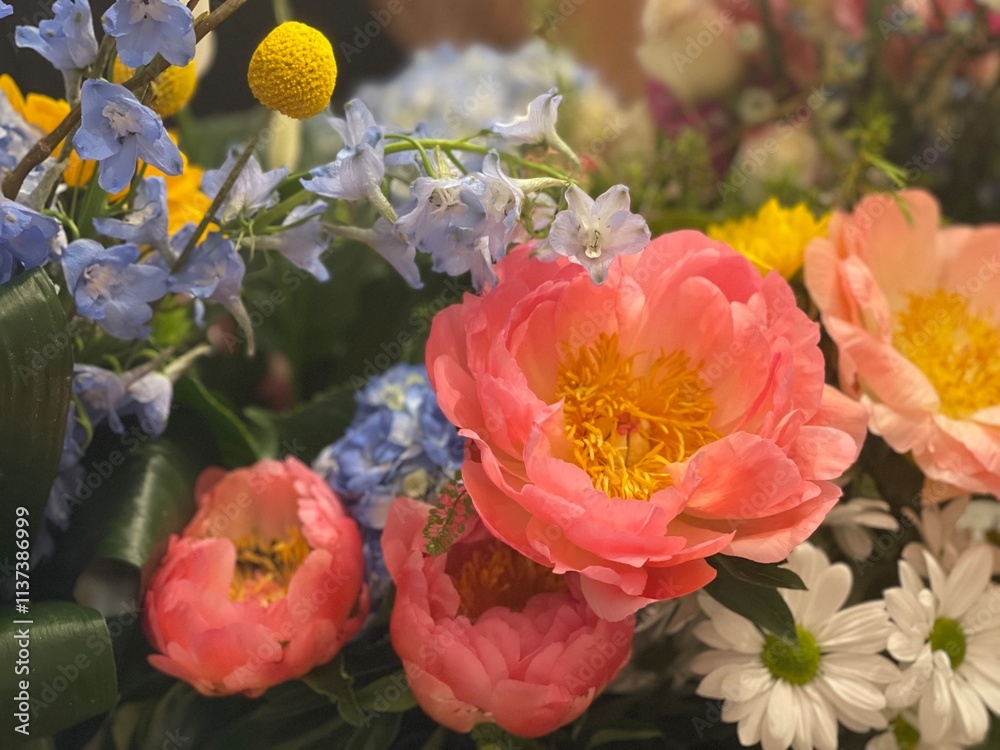 Obraz premium Pretty peony