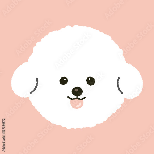 cute fluffy bichon frize puppy dog doggy pet