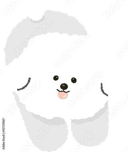 cute fluffy bichon frize puppy dog doggy pet photo