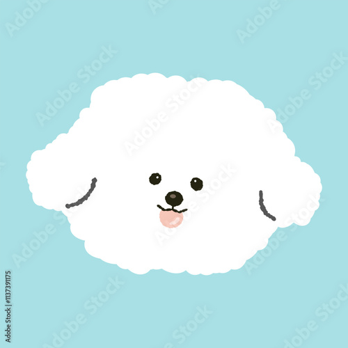 cute fluffy bichon frize puppy dog doggy pet photo