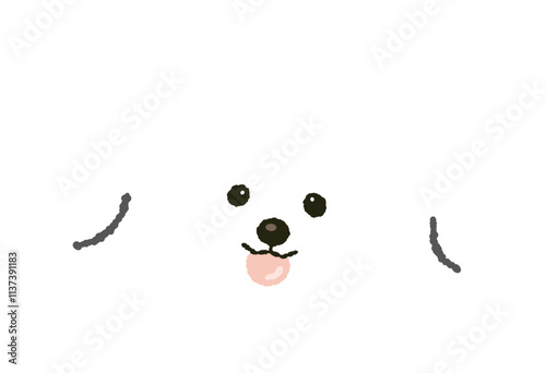 Foto cute fluffy bichon frize puppy dog doggy pet