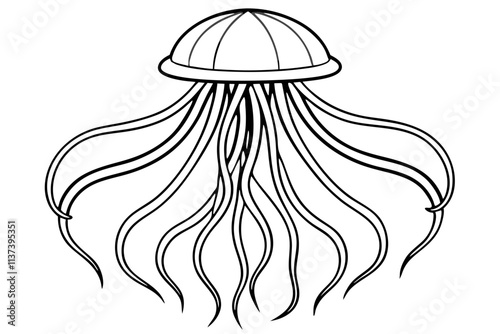 Vector Illustration of Jellyfish line art  photo