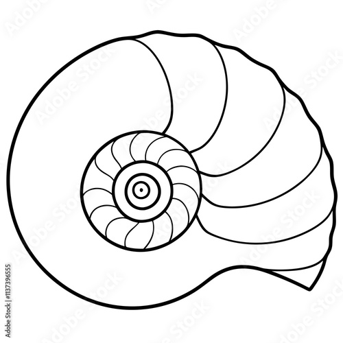 Nautilus shell line art vector illustration