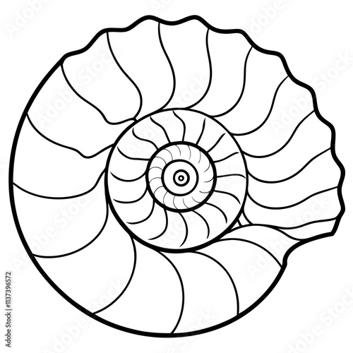 Nautilus shell line art vector illustration
