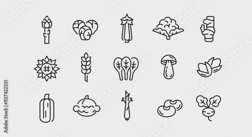 Vegetable icons. Set of 15 vegetable trendy minimal icons. Example: Celery, Mushroom, Tomato, Carrot, Pepper icon. Design signs for web page, mobile app, packaging design. Vector illustration