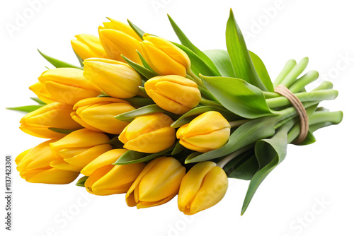 bouquet of yellow tulips