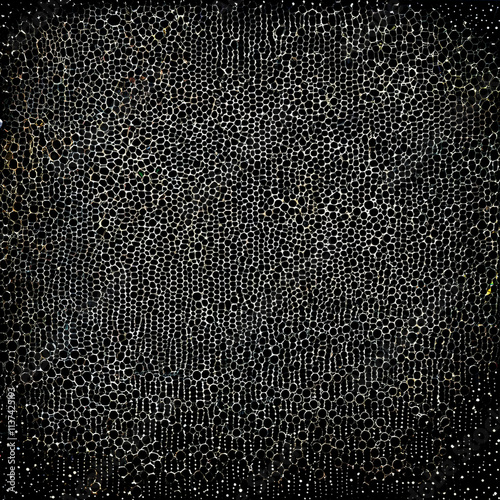The image depicts a textured, dark background with a patterned design that resembles a honeycomb or a network of connected circles, giving it a dense and intricate appearance. The texture appears to b
