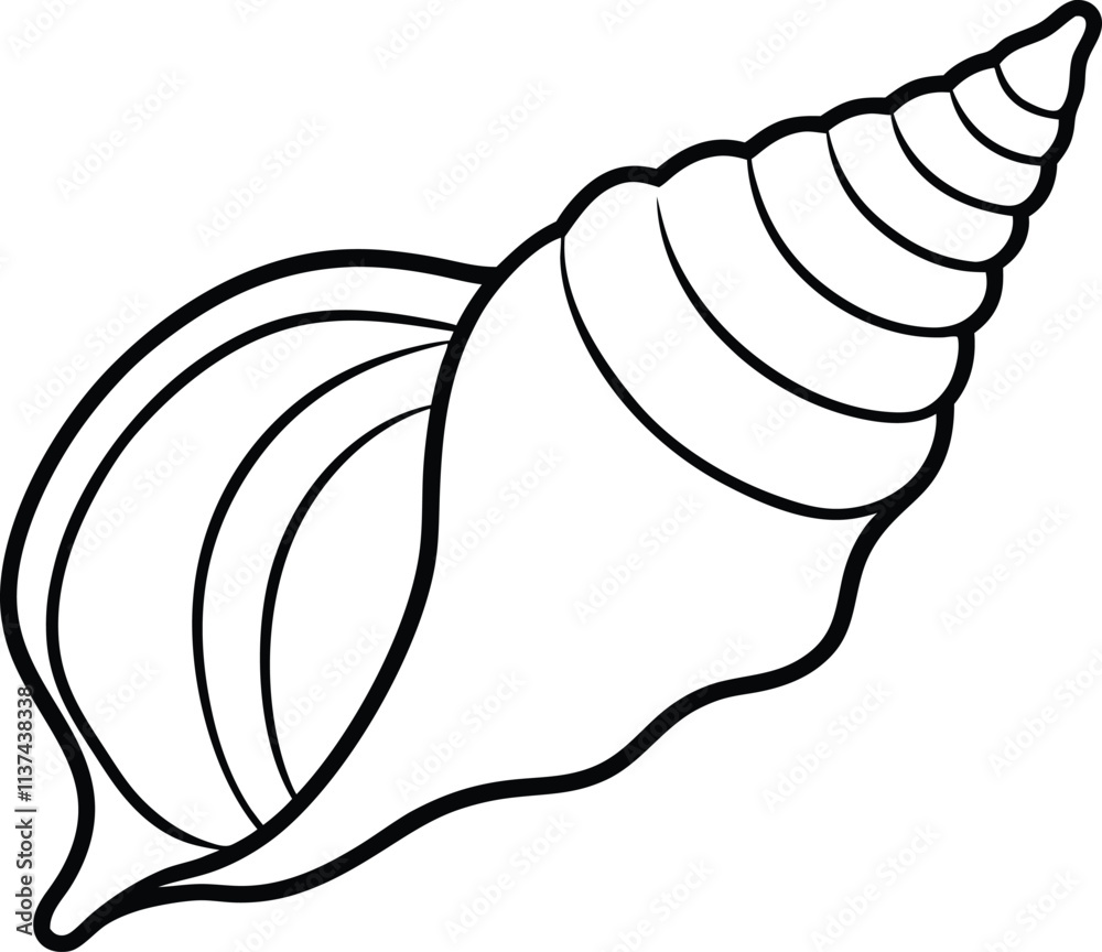 Conch Shell with Smooth Curves Vector Illustration Conch Shell with Smooth Curves Vector Illustration