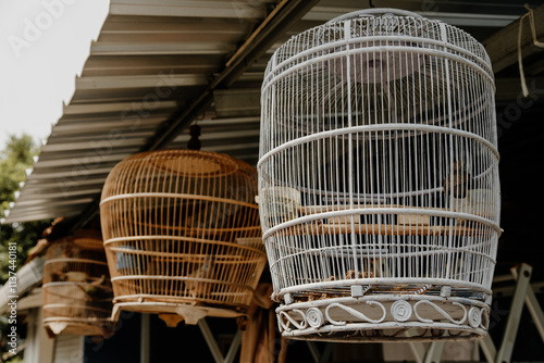 Indonesian Bird Cage