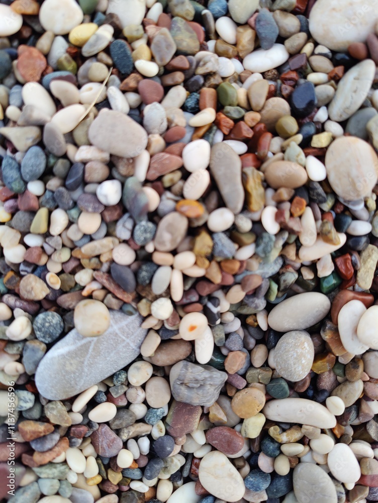 A Vibrant Collection of Pebbles: Diversity and Harmony in Nature's Smallest Forms, a Metaphor for Unity and Uniqueness. A Vibrant Collection of Pebbles: Diversity and Harmony in Nature's Smallest Forms, a Metaphor for Unity and Uniqueness.