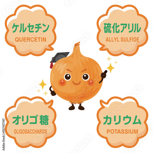 玉ねぎのキャラクターと玉ねぎに含まれる成分イラスト