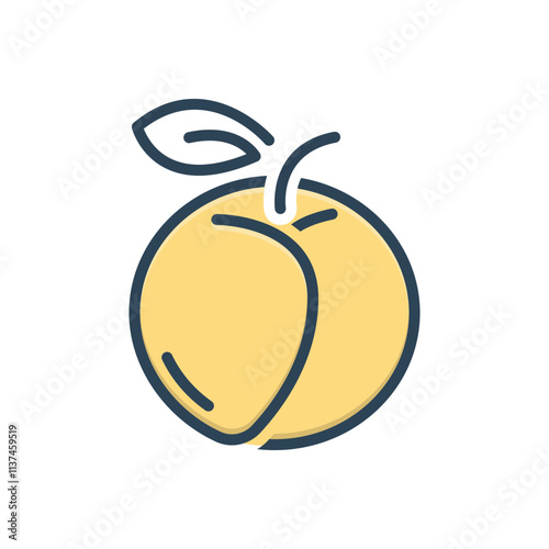 Color illustration icon for apricot