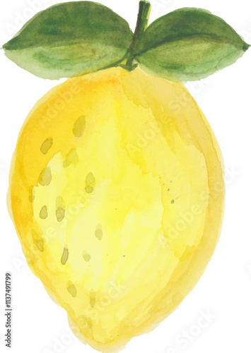 Cute lemon hand drawn watercolour clipart with isolated white background