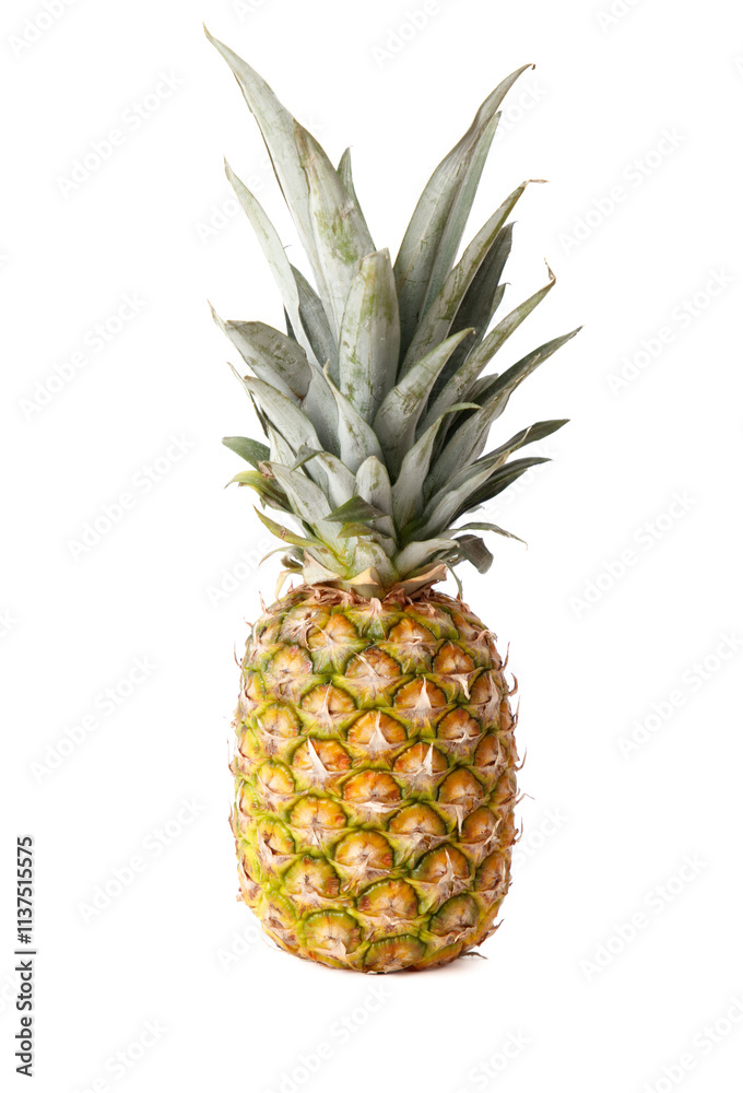 A pineapple is sitting on a white background A pineapple is sitting on a white background