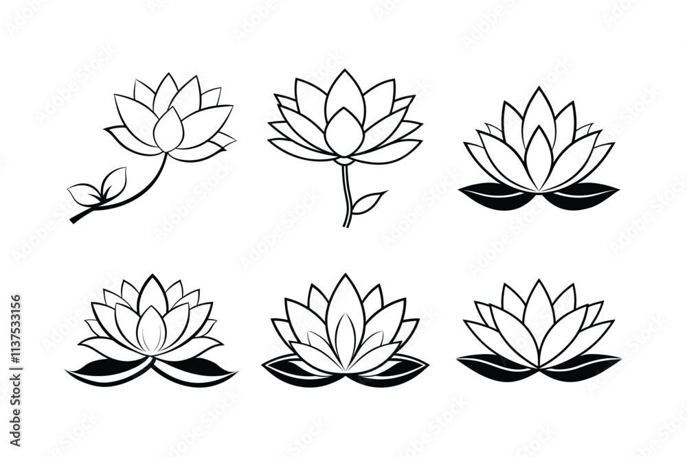 waterlily line art vector illustration