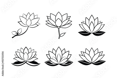 waterlily line art vector illustration