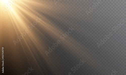 PNG sunlight with special lens flare effect. Vector light effect.