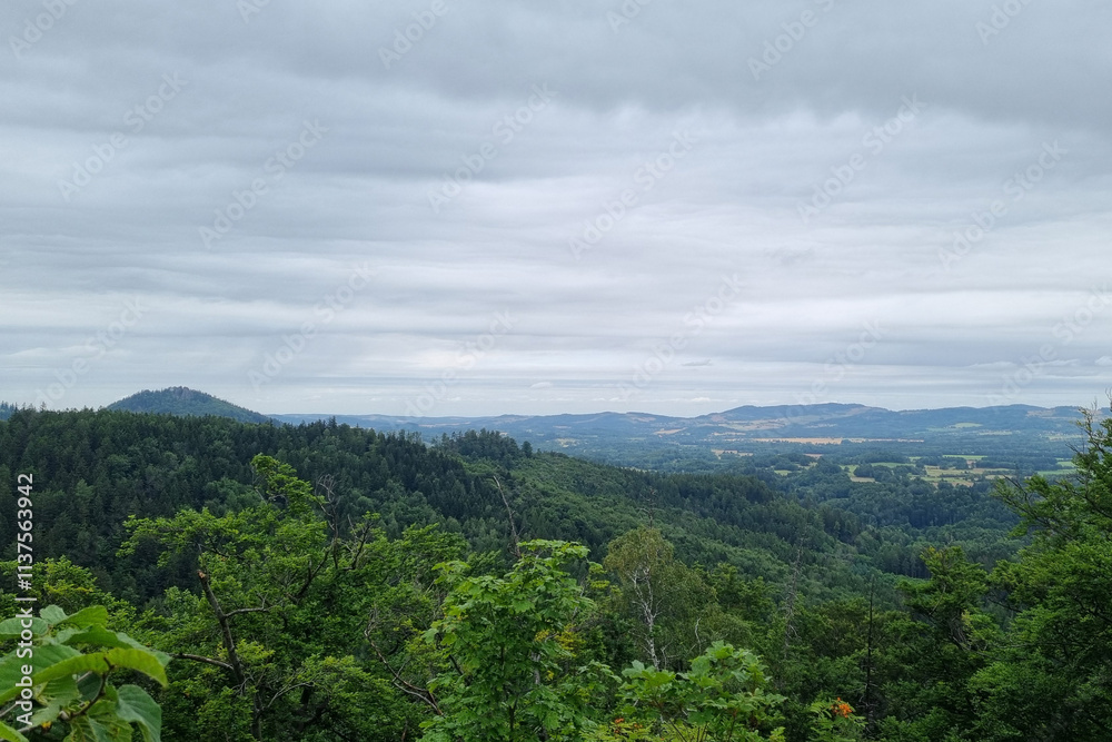 Scenic Forest and Mountain Vista Under Overcast Sky for Nature Lovers Scenic Forest and Mountain Vista Under Overcast Sky for Nature Lovers