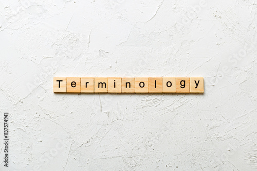 terminology word written on wood block. terminology text on table, concept photo