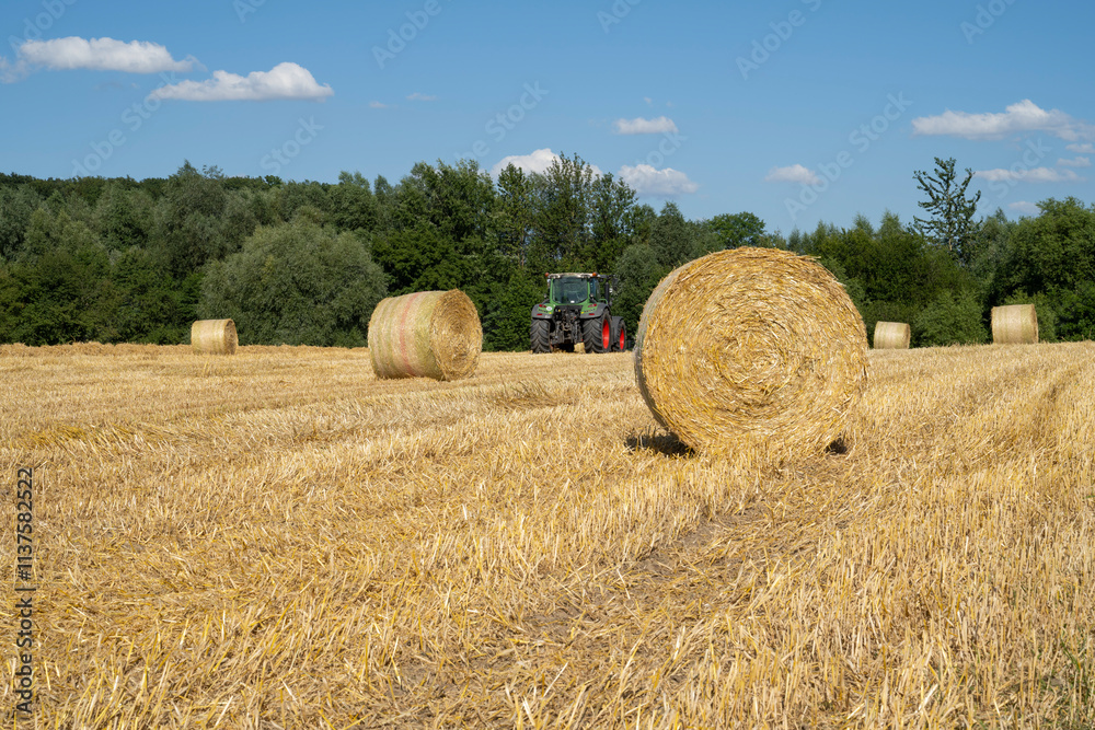 Fototapeta premium Strohballen und Trecker auf abgeerntetem Kornfeld, Stoppelfeld, Kamen. Nordrhein-Westfalen, Deutschland, Europa