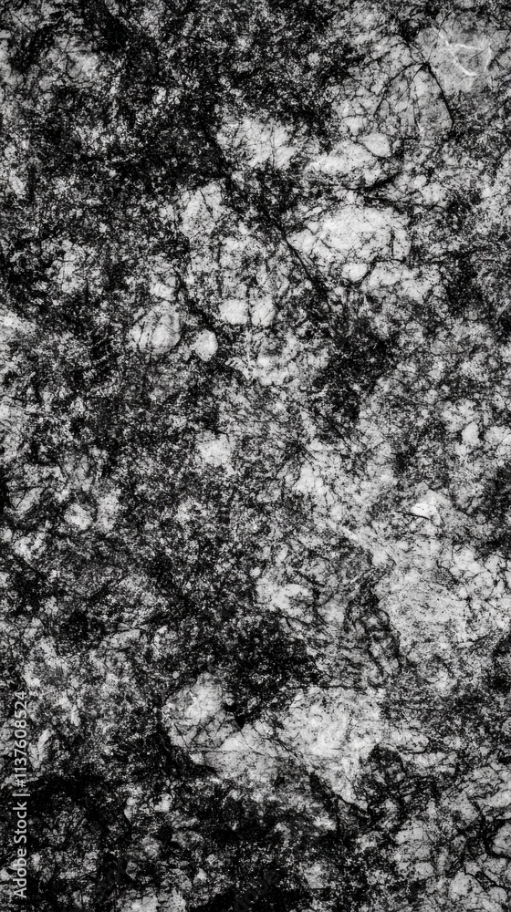 Fototapeta premium Intricate Abstract Stone Texture Design for Architecture
